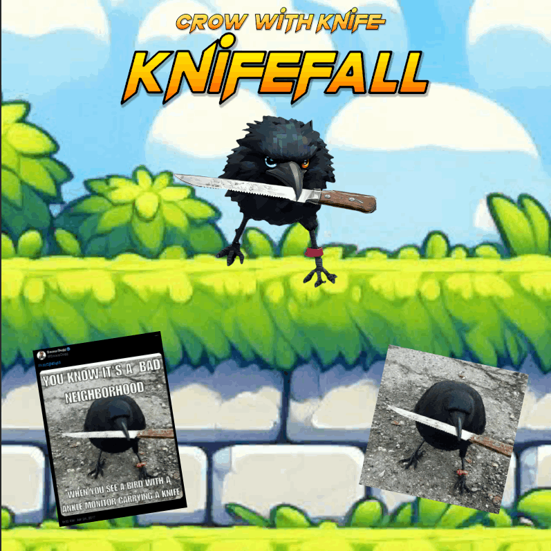 crow with knife KnifeFall Image with memes